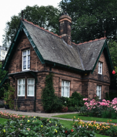 Blue Whale Villa
